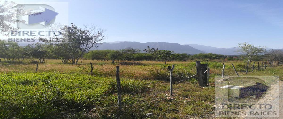 Foto de terreno habitacional en venta en  , calles, montemorelos, nuevo león, 0 No. 04