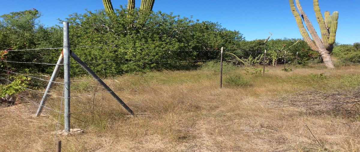 Foto de terreno habitacional en calles s/n, fraccionamiento "el cardón", la paz, baja california sur , campestre el cardón, la paz, baja california sur, 17450079 foto 03 Foto de terreno habitacional en venta en calles s/n, fraccionamiento "el cardón", la paz, baja california sur , campestre el cardón, la paz, baja california sur, 17450079 No. 03