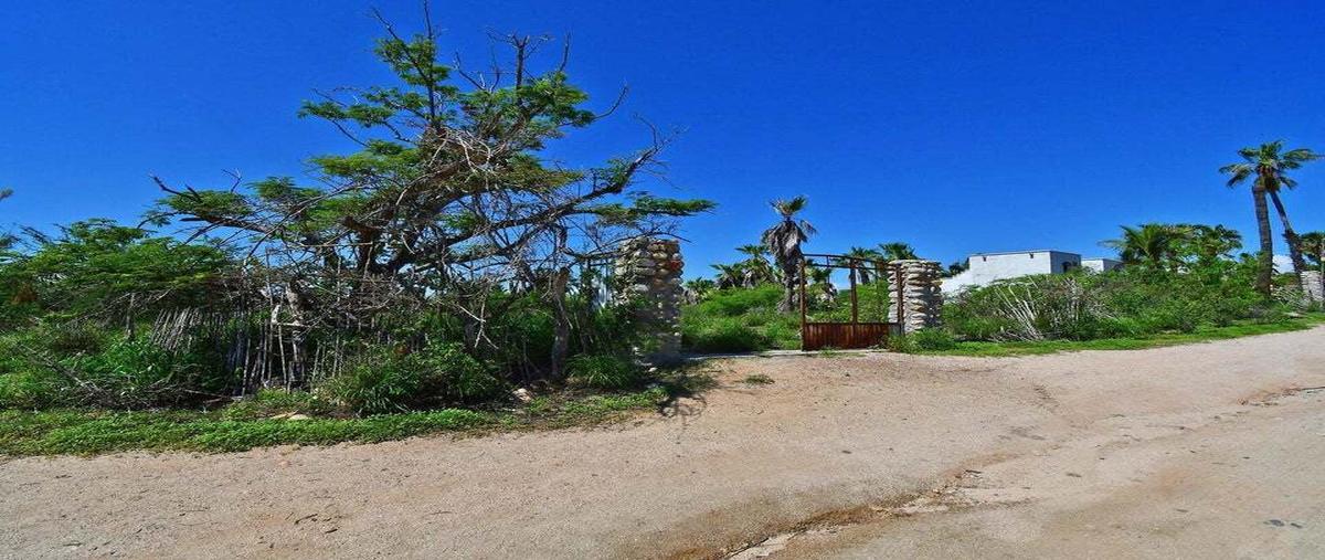 Foto de terreno habitacional en venta en calli horizonte , pueblo nuevo, la paz, baja california sur, 28164029 No. 01