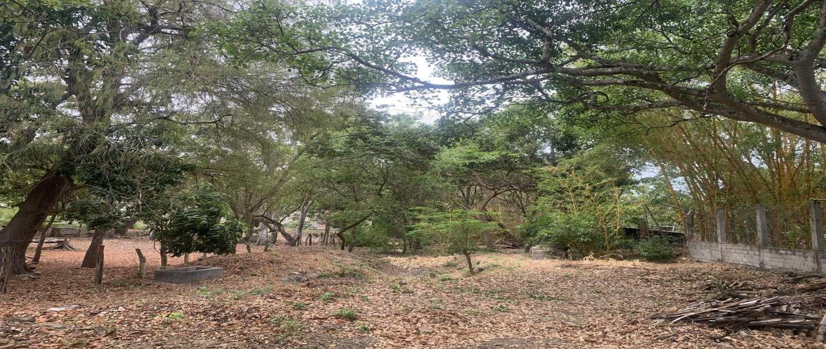 Foto de terreno habitacional en venta en calllejón privado de la 8a calle oriente norte , el jobo, tuxtla gutiérrez, chiapas, 0 No. 03