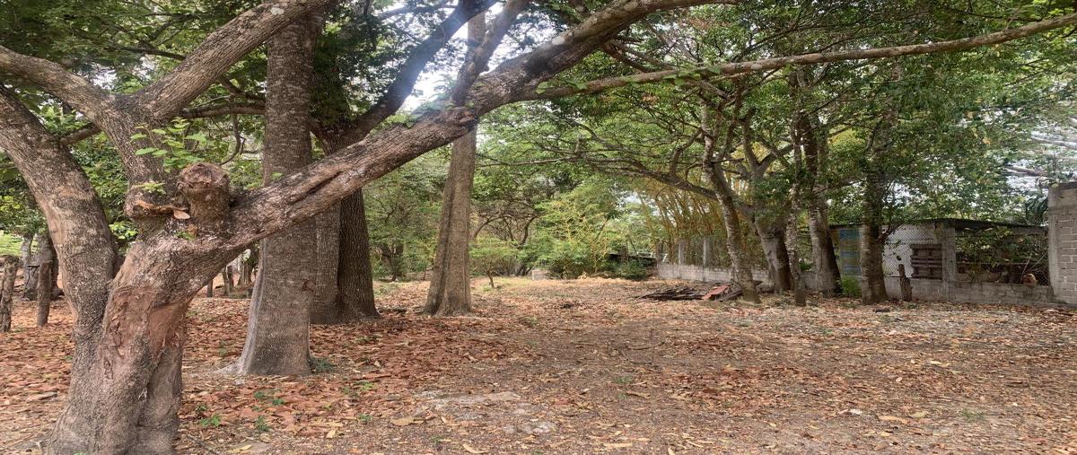 Foto de terreno habitacional en venta en calllejón privado de la 8a calle oriente norte , el jobo, tuxtla gutiérrez, chiapas, 0 No. 04