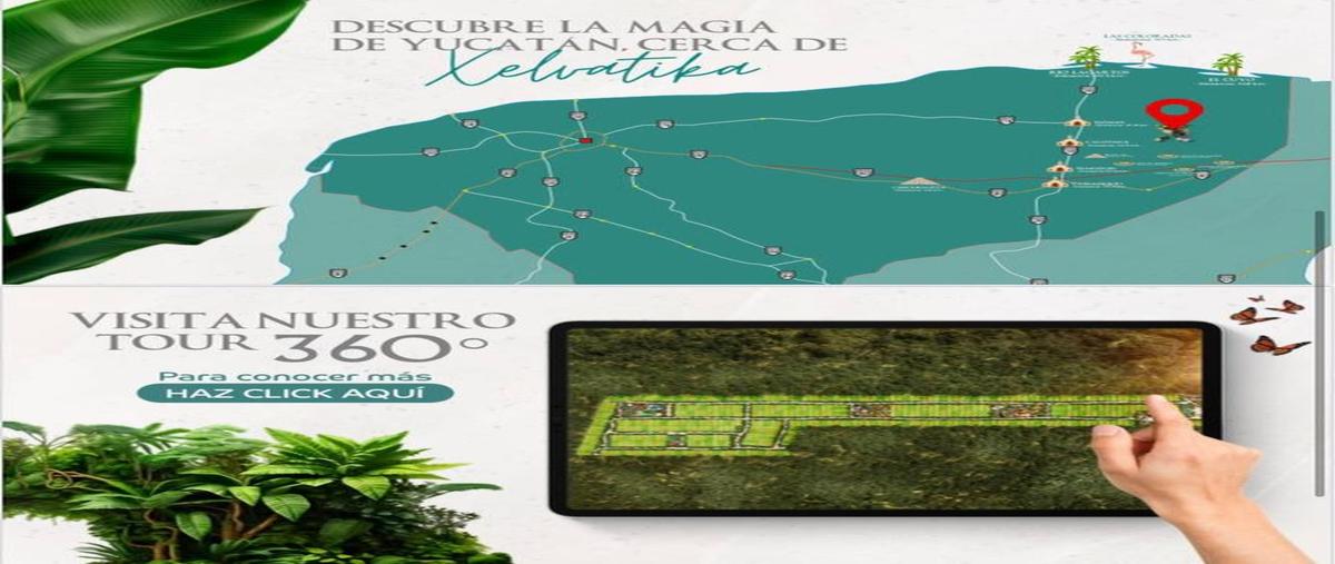Foto de terreno habitacional en venta en calotmul , calotmul, calotmul, yucatán, 0 No. 03