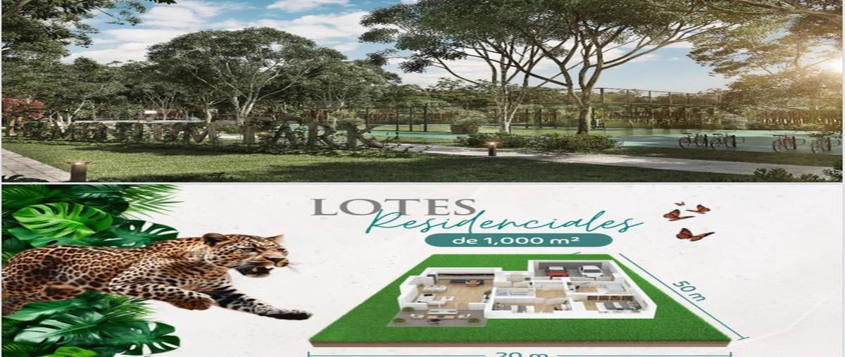 Foto de terreno habitacional en venta en calotmul , calotmul, calotmul, yucatán, 0 No. 04