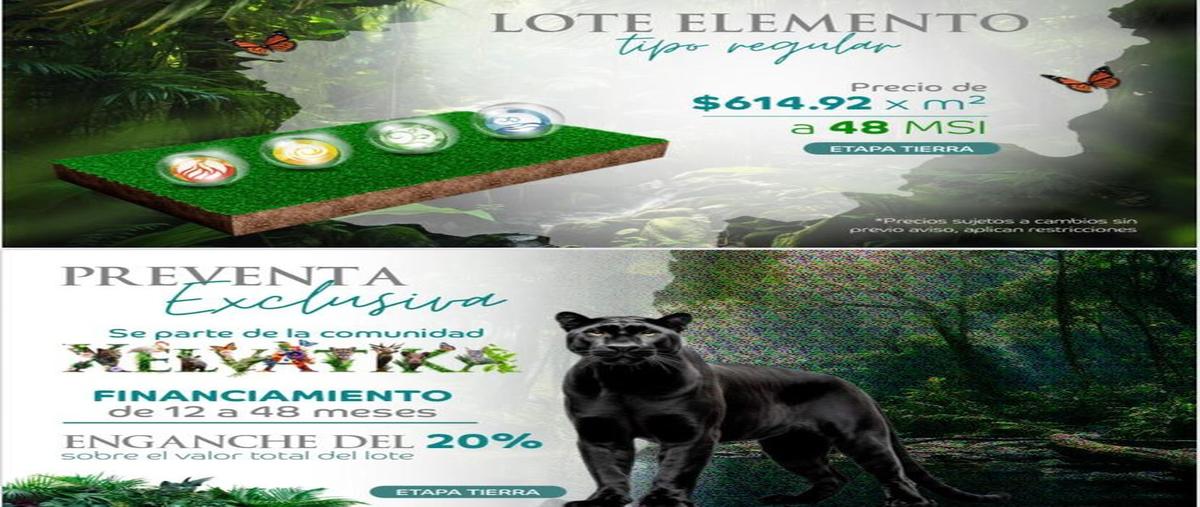Foto de terreno habitacional en venta en calotmul , calotmul, calotmul, yucatán, 0 No. 05
