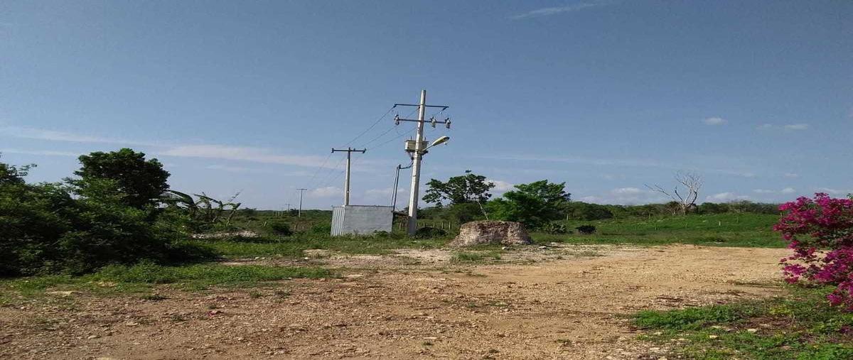 Foto de rancho en venta en  , calotmul, calotmul, yucatán, 27681115 No. 05