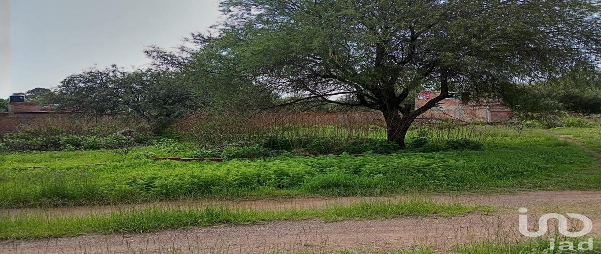 Foto de terreno habitacional en venta en calvillito , villa licenciado jesús terán (calvillito), aguascalientes, aguascalientes, 0 No. 05
