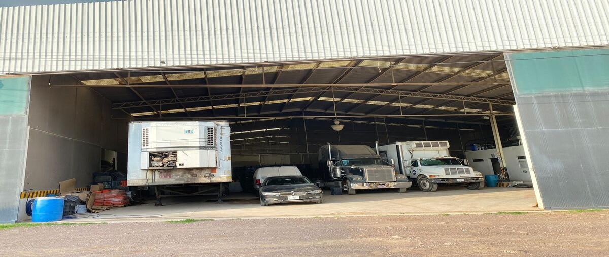 Foto de nave industrial en renta en calvillo , calvillo centro, calvillo, aguascalientes, 30159801 No. 03
