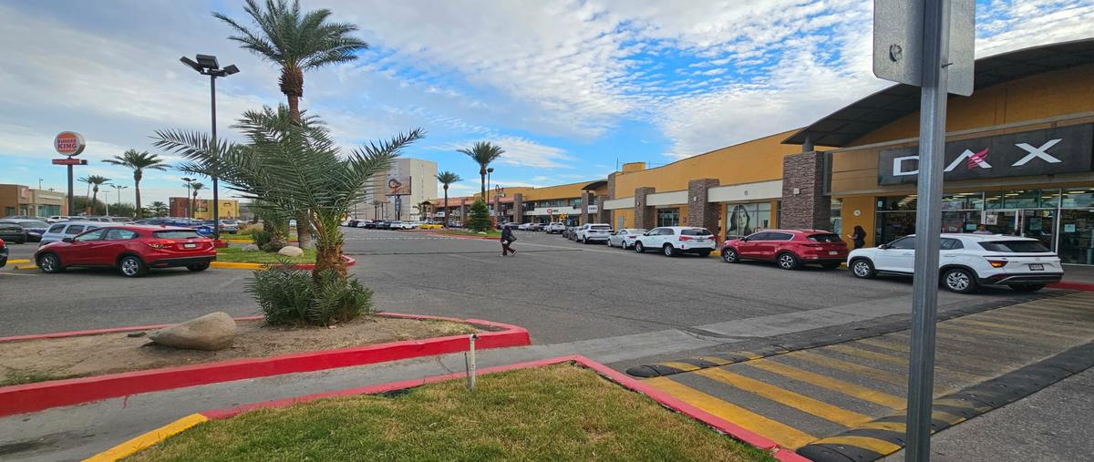 Foto de local en renta en calzada cetys , privada vistahermosa, mexicali, baja california, 31364633 No. 03