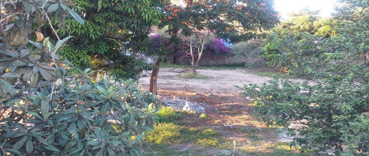 Foto de terreno habitacional en calzada circunvalación norte , las fuentes, zapopan, jalisco, 28052357 foto 02 Foto de terreno habitacional en venta en calzada circunvalación norte , las fuentes, zapopan, jalisco, 28052357 No. 02