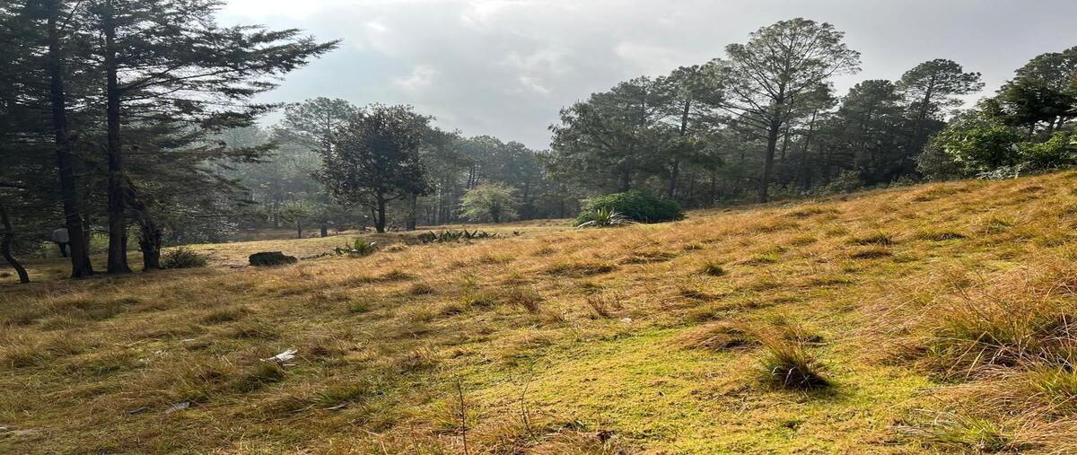 Foto de terreno habitacional en venta en calzada daniel sarmiento rojas , los alcanfores, san cristóbal de las casas, chiapas, 28302149 No. 03