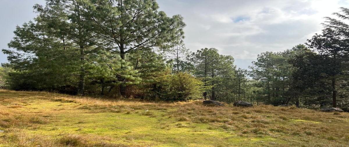 Foto de terreno habitacional en venta en calzada daniel sarmiento rojas , los alcanfores, san cristóbal de las casas, chiapas, 28302149 No. 04