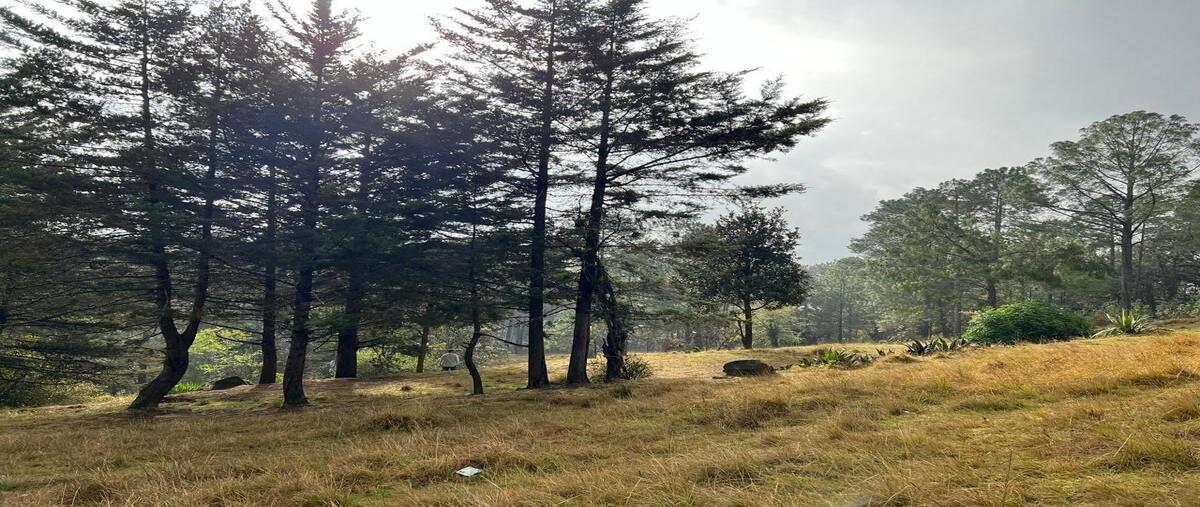 Foto de terreno habitacional en venta en calzada daniel sarmiento rojas , los alcanfores, san cristóbal de las casas, chiapas, 28302149 No. 05