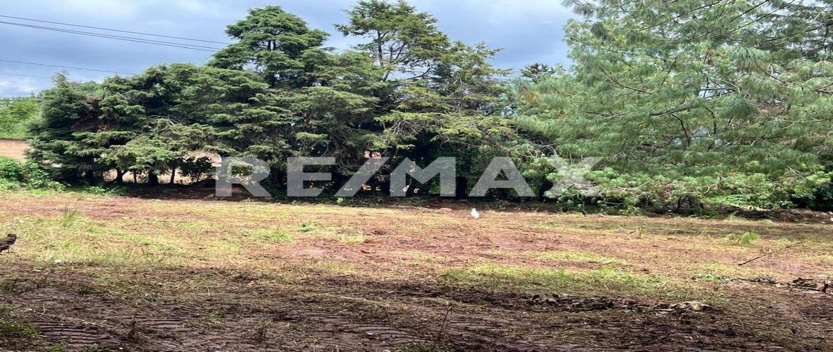 Foto de terreno habitacional en venta en calzada daniel sarmiento rojas , los alcanfores, san cristóbal de las casas, chiapas, 0 No. 04