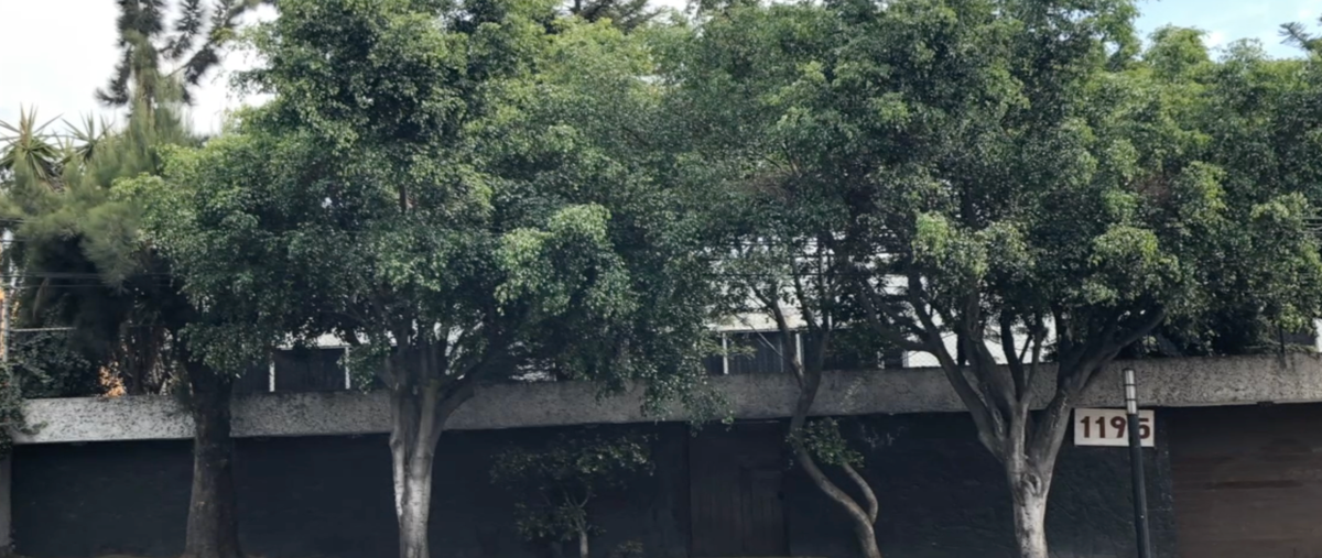 Foto de terreno habitacional en venta en calzada de las aguilas , san clemente sur, álvaro obregón, df / cdmx, 30376209 No. 05