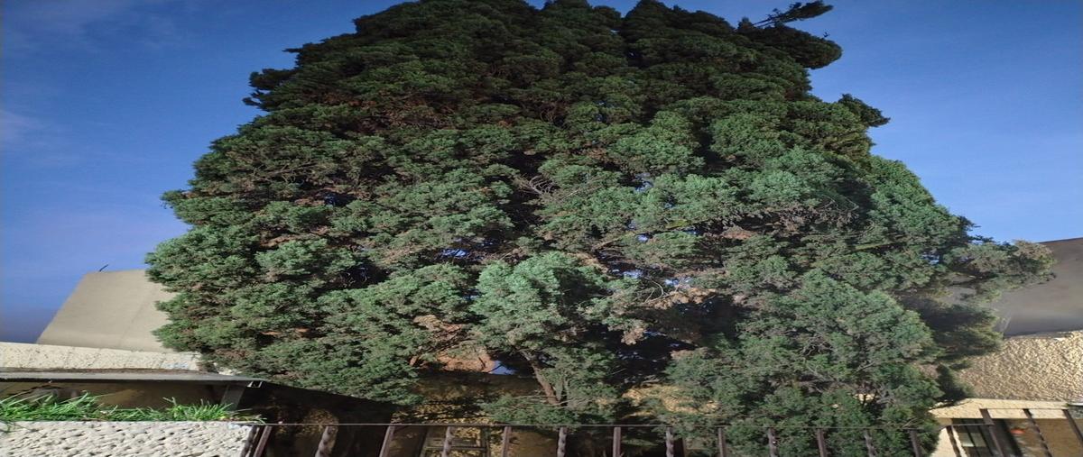 Foto de casa en calzada de los corceles , colina del sur, álvaro obregón, df / cdmx, 0 foto 05 Foto de casa en venta en calzada de los corceles , colina del sur, álvaro obregón, df / cdmx, 0 No. 05