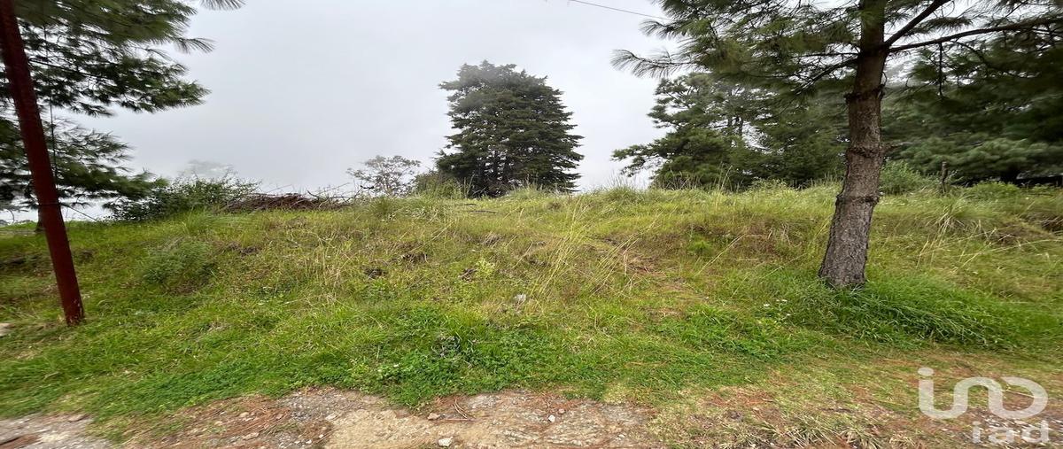 Foto de terreno habitacional en venta en calzada de los días mancera , tres marías, huitzilac, morelos, 0 No. 03