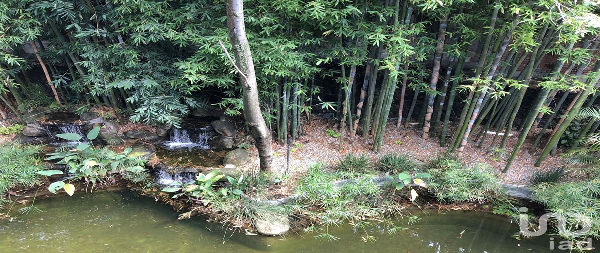 Foto de departamento en venta en calzada de los reyes 770, tetela del monte, cuernavaca, morelos, 29271799 No. 05