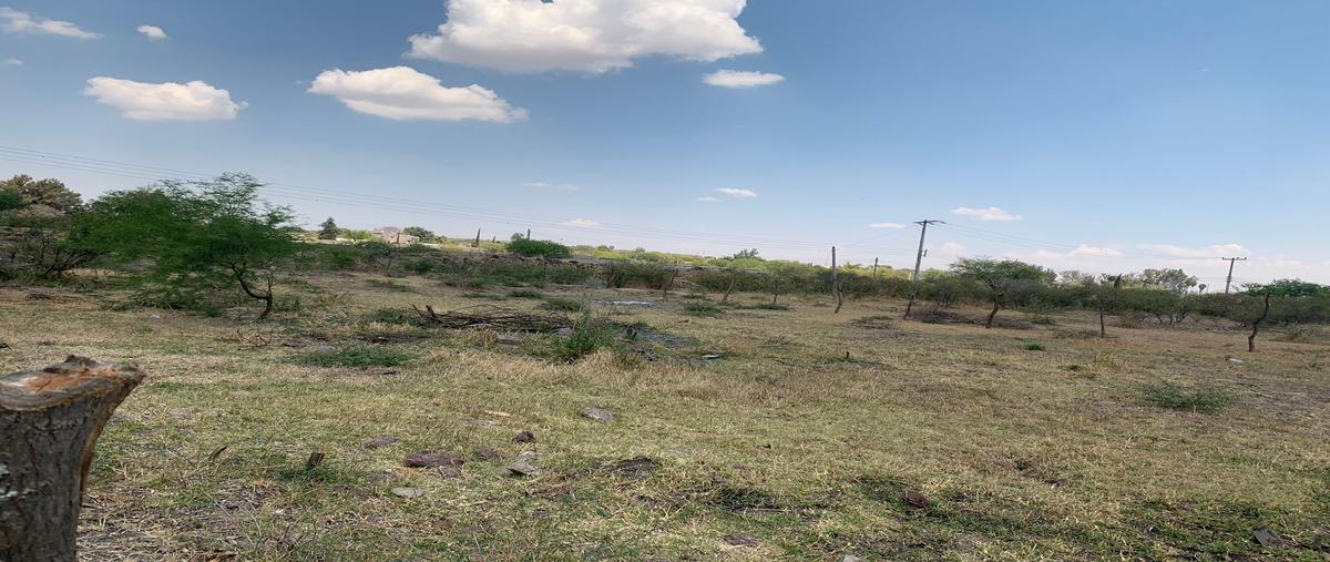 Foto de terreno habitacional en venta en calzada del trueno , jardines de la calera, tlajomulco de zúñiga, jalisco, 28175353 No. 03