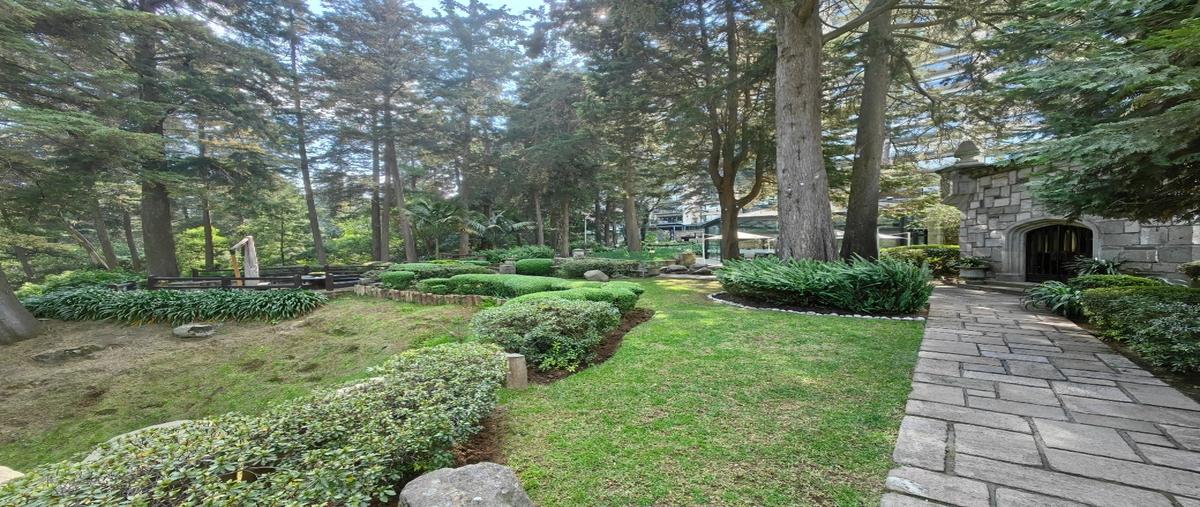 Foto de departamento en venta en calzada desierto de los leones , olivar de los padres, álvaro obregón, df / cdmx, 30768627 No. 04