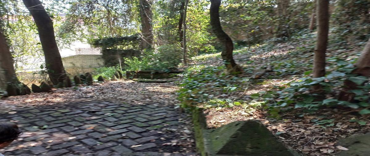 Foto de terreno habitacional en venta en calzada desierto de los leones , rancho san francisco pueblo san bartolo ameyalco, álvaro obregón, df / cdmx, 0 No. 04