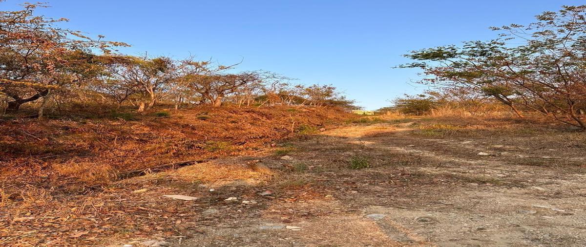 Foto de terreno habitacional en venta en calzada emiliano zapata , terán, tuxtla gutiérrez, chiapas, 26255569 No. 03