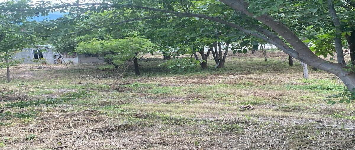 Foto de terreno comercial en venta en calzada emiliano zapata , terán, tuxtla gutiérrez, chiapas, 29410228 No. 05