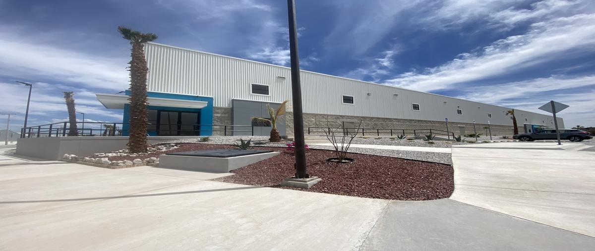 Foto de nave industrial en renta en calzada forjadores, brittiham , 5 de mayo, gómez palacio, durango, 26611702 No. 03