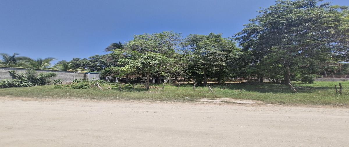 Foto de terreno habitacional en venta en calzada general s/n entre la calle 1a y 2a oriente , puerto arista, tonalá, chiapas, 29714701 No. 03