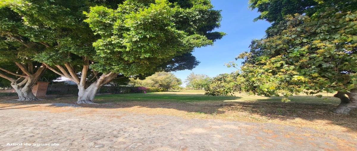 Foto de terreno habitacional en venta en calzada guadalupe , la moraleda, atlixco, puebla, 25748983 No. 03
