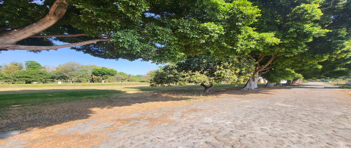 Foto de terreno habitacional en venta en calzada guadalupe , la moraleda, atlixco, puebla, 25748986 No. 04