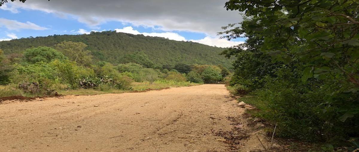 Foto de terreno habitacional en venta en calzada la escuela , la quinta san martín, san cristóbal de las casas, chiapas, 0 No. 04