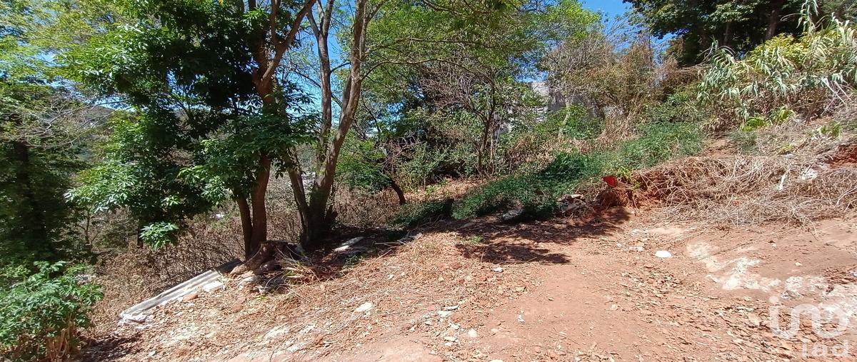 Foto de terreno habitacional en venta en calzada la quinta 125, la garita, san cristóbal de las casas, chiapas, 30049591 No. 04