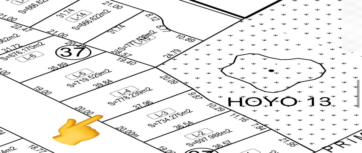 Foto de terreno habitacional en venta en calzada laguna del champayan , residencial lagunas de miralta, altamira, tamaulipas, 28174459 No. 04
