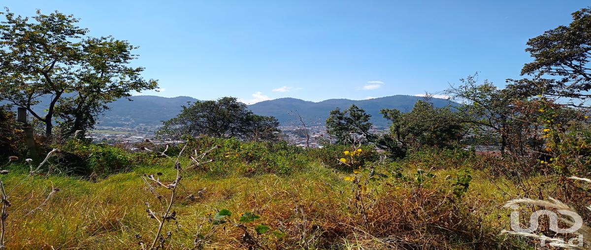 Foto de terreno habitacional en venta en calzada las américas 91, san diego, san cristóbal de las casas, chiapas, 28720775 No. 04
