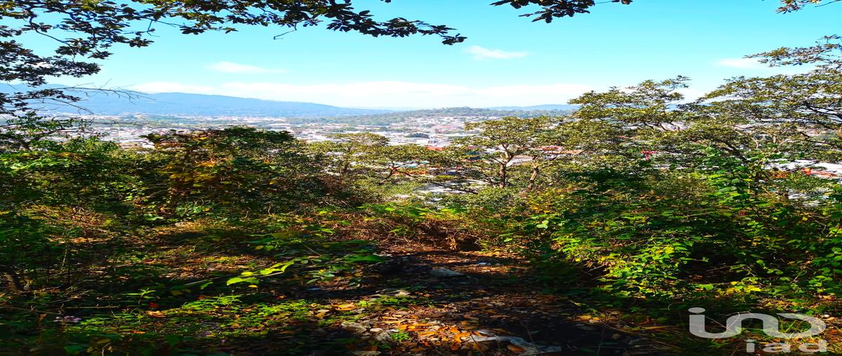 Foto de terreno habitacional en venta en calzada las américas 91, san diego, san cristóbal de las casas, chiapas, 28720775 No. 05