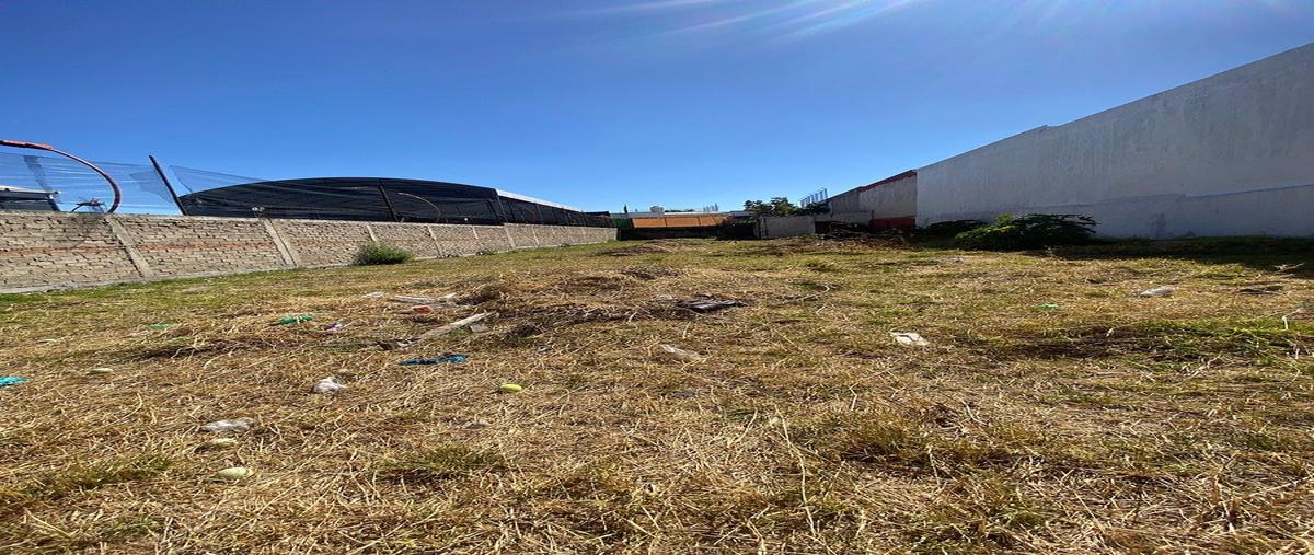 Foto de terreno habitacional en renta en calzada paraisos , ciudad granja, zapopan, jalisco, 0 No. 03