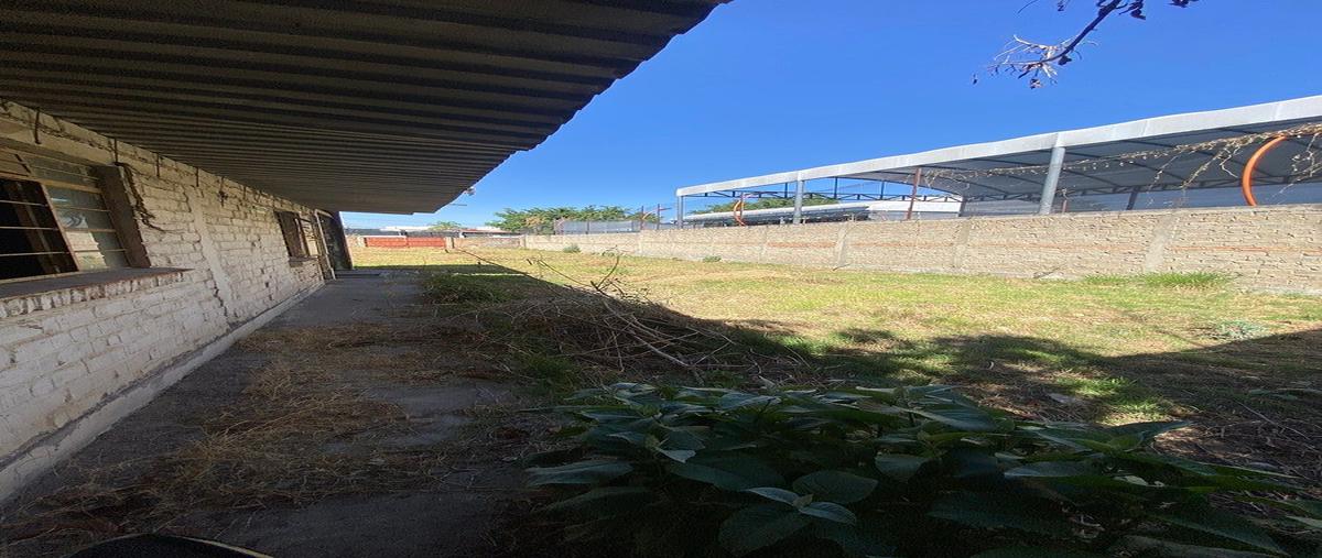 Foto de terreno habitacional en renta en calzada paraisos , ciudad granja, zapopan, jalisco, 0 No. 05