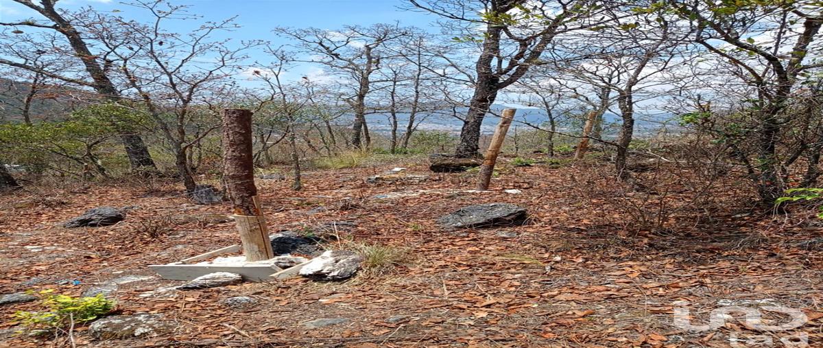 Foto de terreno habitacional en venta en calzada ranulfo tovilla , san nicolás, san cristóbal de las casas, chiapas, 28723389 No. 05