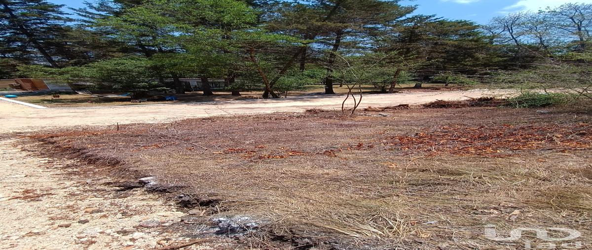 Foto de terreno habitacional en venta en calzada ranulfo tovilla , san nicolás, san cristóbal de las casas, chiapas, 28724281 No. 03