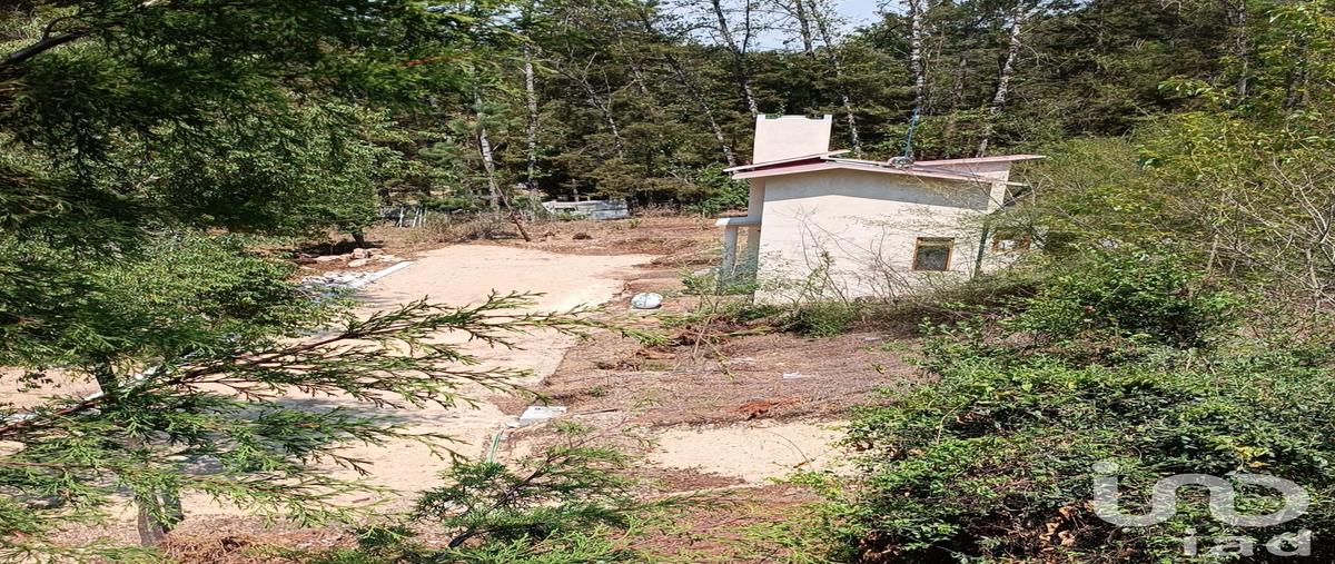 Foto de terreno habitacional en venta en calzada ranulfo tovilla , san nicolás, san cristóbal de las casas, chiapas, 28724281 No. 04