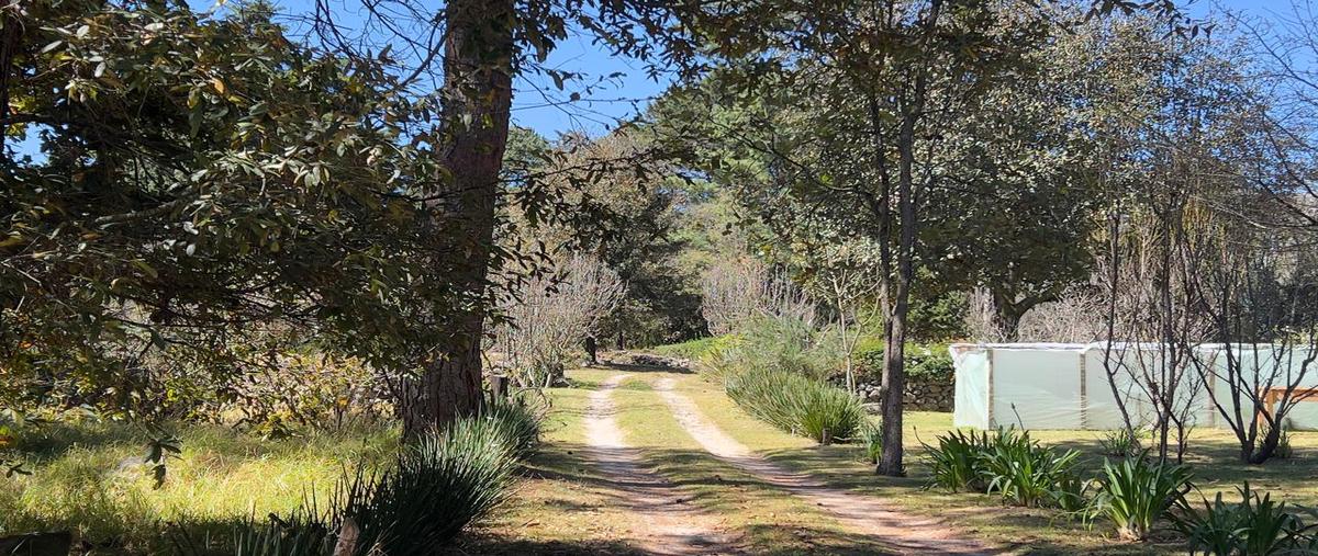 Foto de terreno habitacional en venta en calzada san martín , la quinta san martín, san cristóbal de las casas, chiapas, 30853478 No. 03