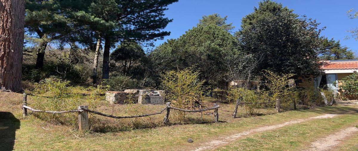 Foto de terreno habitacional en venta en calzada san martín , la quinta san martín, san cristóbal de las casas, chiapas, 30853478 No. 05