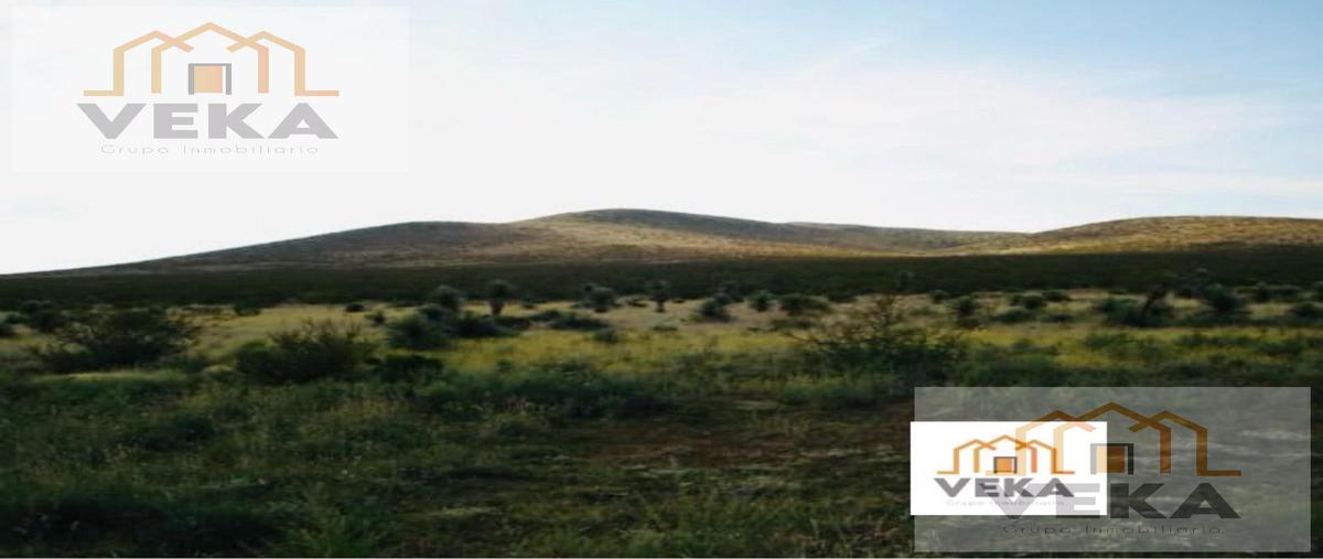 Foto de rancho en , camargo, camargo, tamaulipas, 29394631 foto 01 Foto de rancho en venta en , camargo, camargo, tamaulipas, 29394631 No. 01