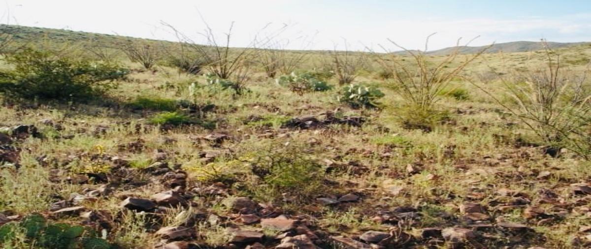 Foto de rancho en venta en  , camargo, camargo, tamaulipas, 29394631 No. 03