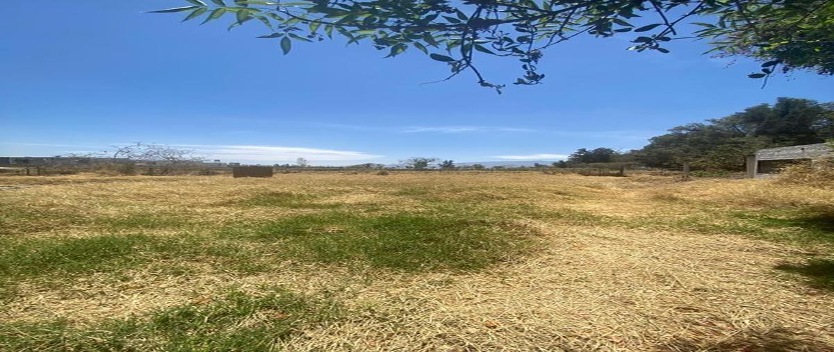 Foto de terreno habitacional en venta en camini a agua amarilla , tlajomulco centro, tlajomulco de zúñiga, jalisco, 0 No. 05