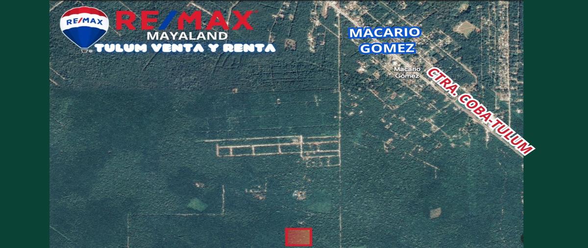 Foto de terreno habitacional en camini blanco francisco unidad habitacional may , francisco uh-may, tulum, quintana roo, 28172058 foto 01 Foto de terreno habitacional en venta en camini blanco francisco unidad habitacional may , francisco uh-may, tulum, quintana roo, 28172058 No. 01
