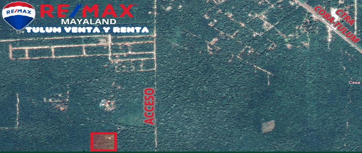 Foto de terreno habitacional en camini blanco francisco unidad habitacional may , francisco uh-may, tulum, quintana roo, 28172058 foto 04 Foto de terreno habitacional en venta en camini blanco francisco unidad habitacional may , francisco uh-may, tulum, quintana roo, 28172058 No. 04