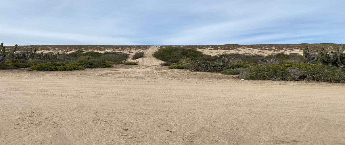 Foto de terreno habitacional en venta en camino 7 , agua blanca, la paz, baja california sur, 26343114 No. 03