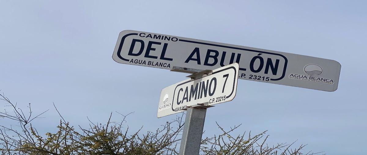 Foto de terreno habitacional en venta en camino 7 , agua blanca, la paz, baja california sur, 26343114 No. 05