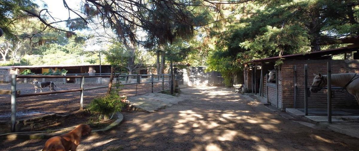 Foto de terreno habitacional en venta en camino a 101, lomas del bosque, zapopan, jalisco, 0 No. 02